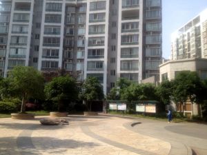 中建五局单位房,低楼层,户型周正,诚意出售