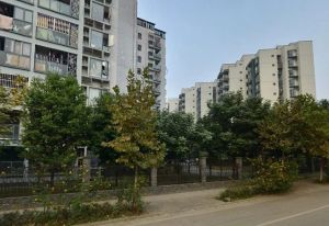 西林豫府B区2室2厅东
