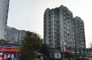 西林豫府B区2室1厅南