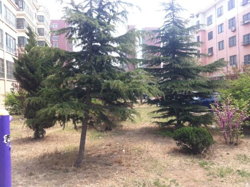  ����С��2��1��1���ϳ���1100.00Ԫ/�³��� 