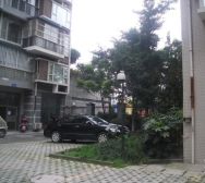 和鸿天府金花1室1厅东南