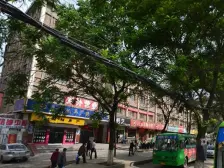 南北通透 明厨明卫 中间楼层 随时可看