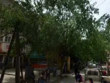 业主着急出售 铁四 五十六 两室两厅 低楼层