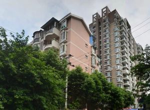 金房央座2室1厅东南