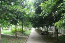 丽阳晶舍1室1厅南