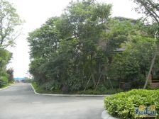 棠湖泊林城5室2厅东南南