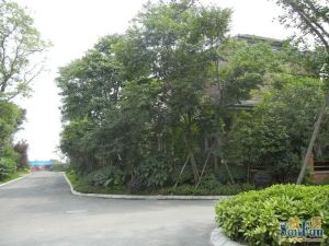 棠湖泊林城2室1厅西