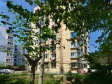 中山区 山屏街 近棒棰岛 空气好 环境好