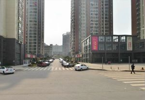 巢之恋2室2厅南