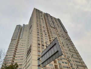 开源鑫阁 4室2厅 南