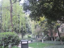 万科城市花园 1室1厅 东南