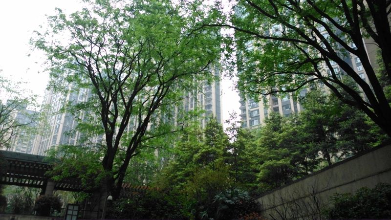 小区相关图