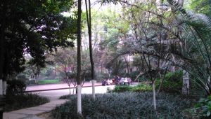 万科金域蓝湾一期2室1厅东东南