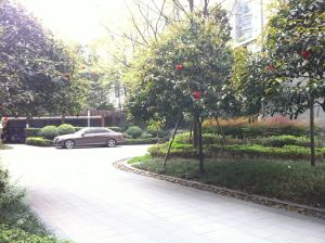优客联邦二期2室2厅南