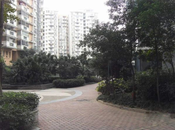 小区相关图