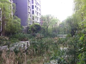 优客联邦三期3室1厅西南