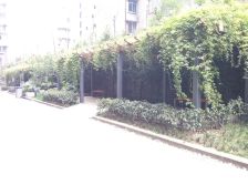 优客联邦三期 1室1厅 西南