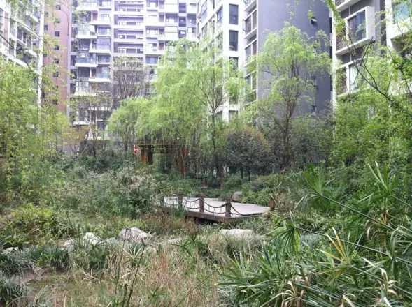 优客联邦三期实景图