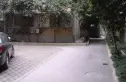 互利西一巷8号院实景图