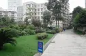 互利西一巷8号院实景图