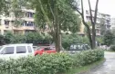 互利西一巷8号院实景图