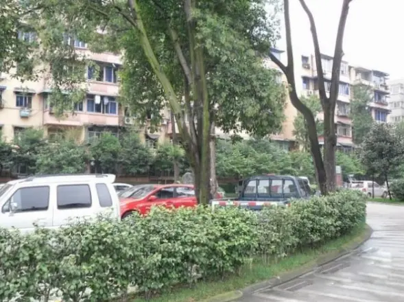 互利西一巷8号院实景图