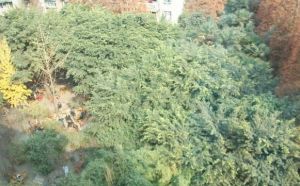 青西路7号3室1厅南