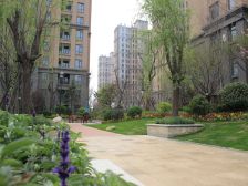 中建悦海和园 毛坯房 前后无遮挡 南北通透 有钥匙