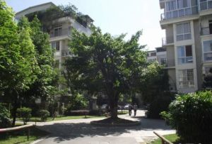 玺印上院3室2厅东南