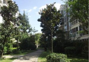 玺印上院3室2厅南