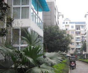 凤溪大道社区金强会所4室3厅东南