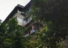 文庙西街31号2室2厅南