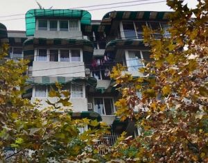 平景苑西区2室2厅东南