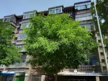 兰大医院家属院 南北通透 两室一厅