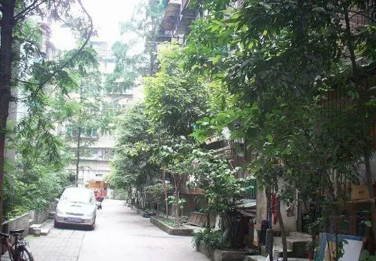 蜀明东路小区