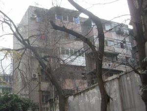 东安北左街37号2室1厅东南