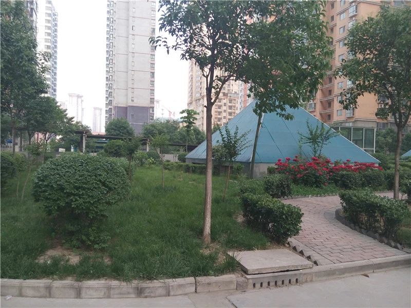 小区相关图