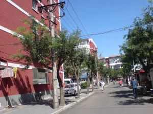 角门13号院精装修三居室采光视野好