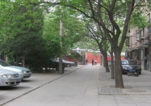 天坛路3室1厅南北