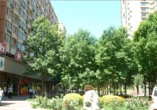 惠新苑 3室1厅 西南 西 北