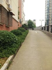河西步步高电梯三房悦峰园洋房配套完善