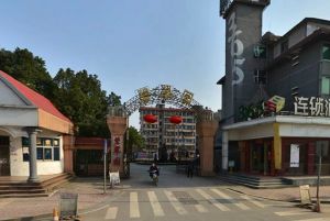 碧翠园2室2厅南