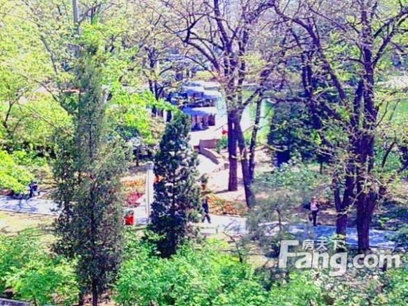 东直门北中街实景图