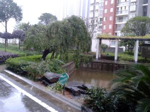 开元路地铁好房,精装拎包入住大四房