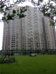 店长力推总高20层小高层明厨明卫612属院地铁口