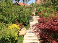 精装大3居,电梯洋房,1楼带南北两个院子