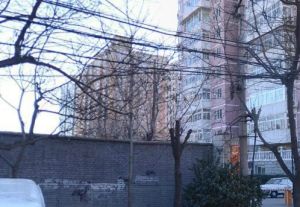 南三环洋桥西罗园马家堡甲116号院电梯三居