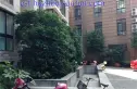 清丽家园实景图