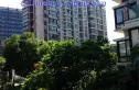 清丽家园实景图