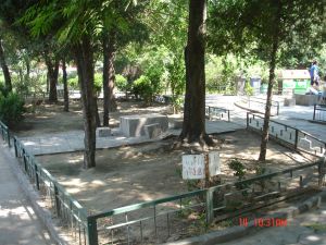 革新南路2号院3室1厅南北